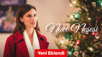Noel Neşesi (2022)
