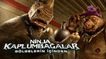 Ninja Kaplumbağalar: Gölgelerin İçinden (2016)