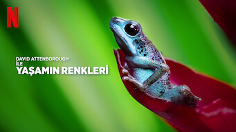 David Attenborough ile Yaşamın Renkleri (2021)