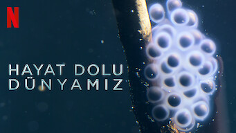 Hayat Dolu Dünyamız (2024)