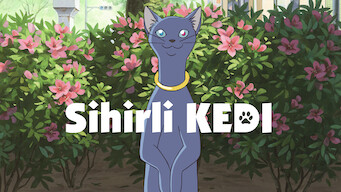 Sihirli Kedi (2002)